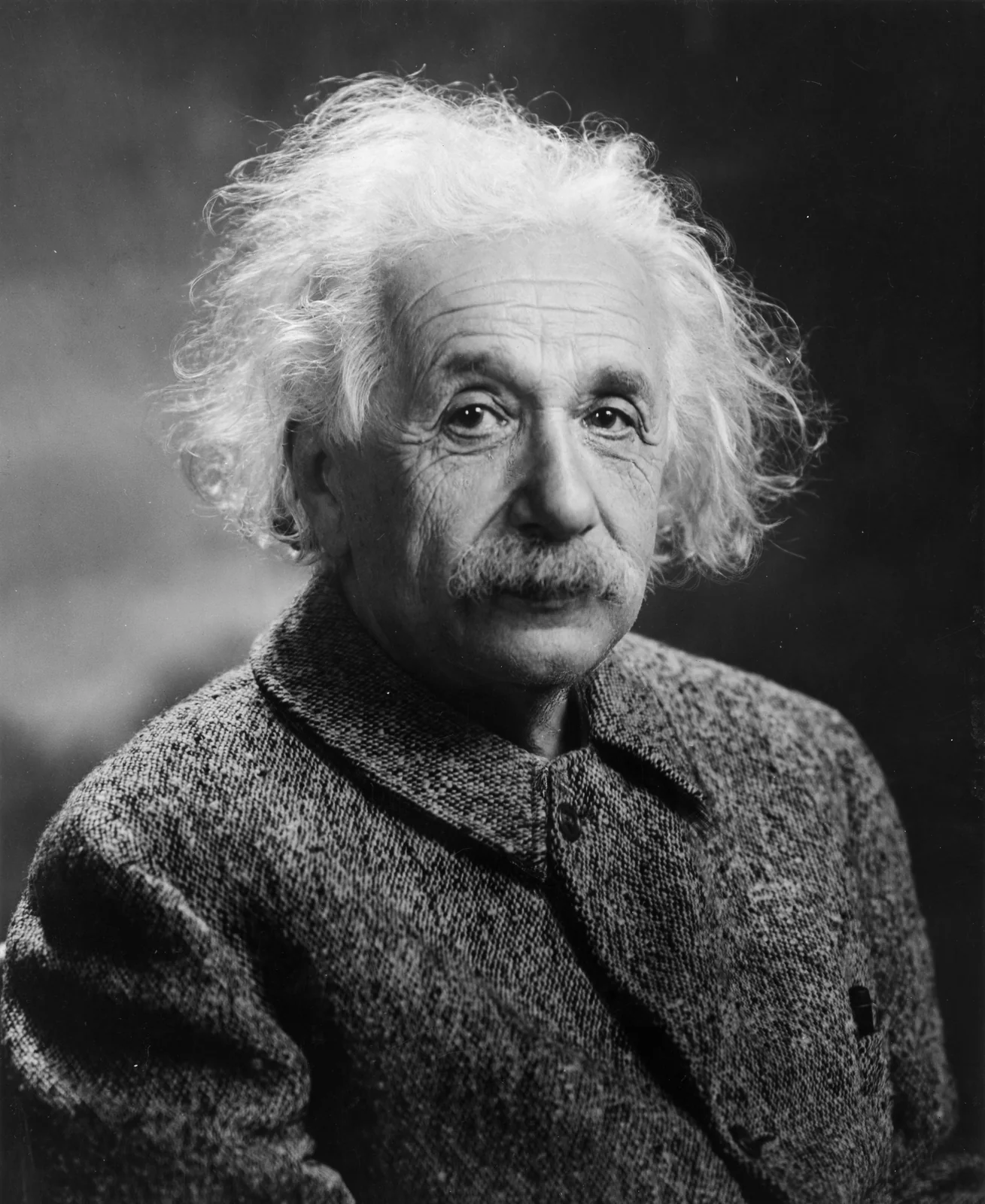 Albert Einstein in Princeton, Porträt 1947